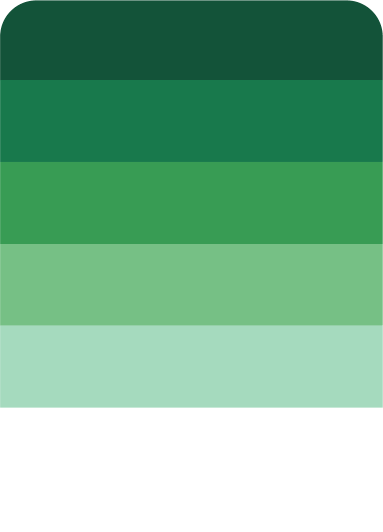 Color 5